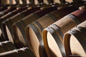 wine cellar wine barrels