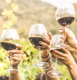 People toasting with glasses of red wine