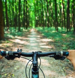 Person riding bike in woods