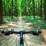 Mountain biking down hill descending fast on bicycle. View from bikers eyes.