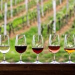 Glasses with wine. Red, pink, white wine in glasses. set of glasses with red, white and rose wine Tasting wine in the vineyard.