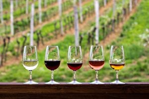 Glasses with wine. Red, pink, white wine in glasses. set of glasses with red, white and rose wine Tasting wine in the vineyard.
