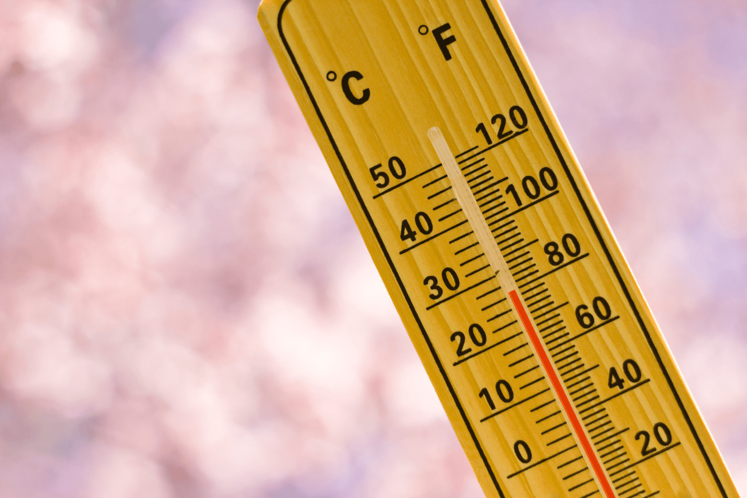 When Is the Best Time to Visit Murphys, CA, for You?