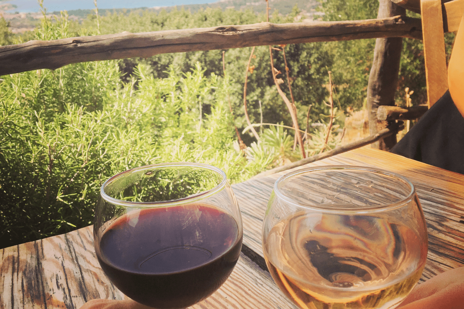 The Best Murphys, CA, Getaways A Complete Guide for Everyone Luxury