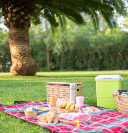best picnic spots northern california picnic blanket