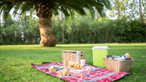 best picnic spots northern california picnic blanket